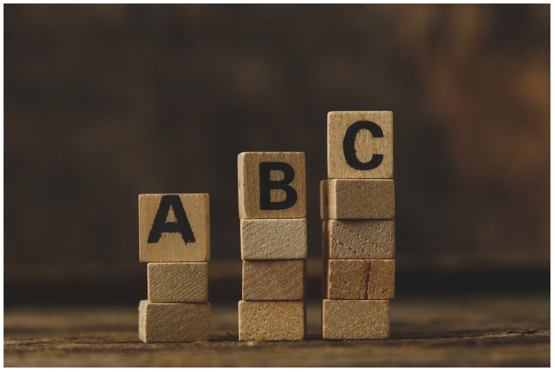 Best Reference Books for CBSE Class 10 English 2025